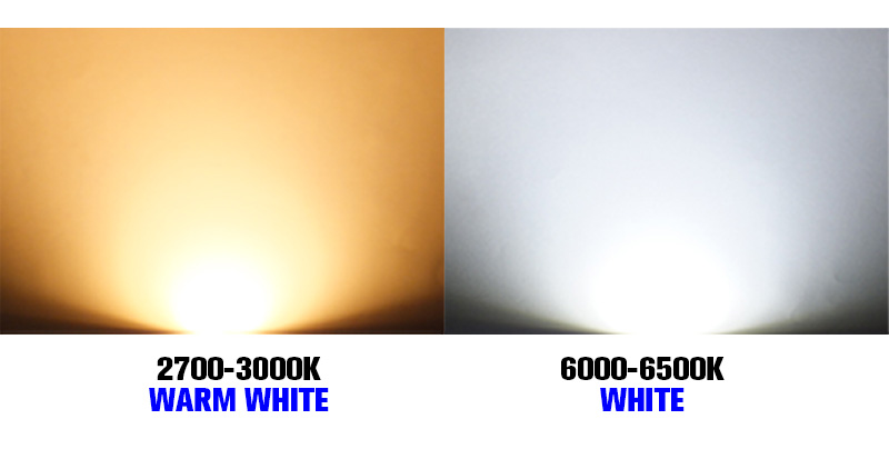 G50 low-voltage LED bulb benchtop test showing clean 360 degree white light distribution