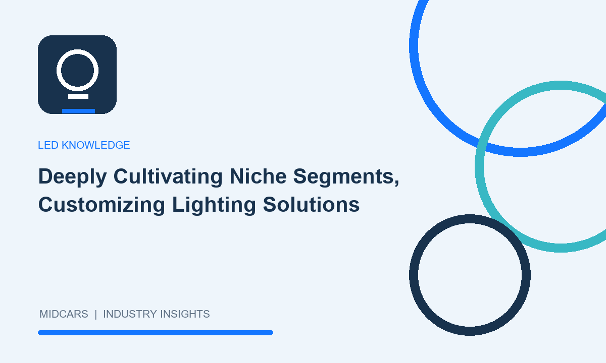 Deeply Cultivating Niche Segments, Customizing Lighting Solutions